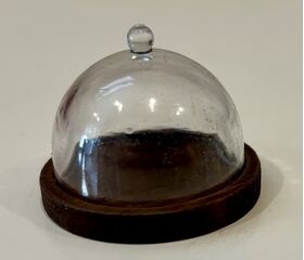 Cloche / Dome on Walnut Board (35mm Diameter)