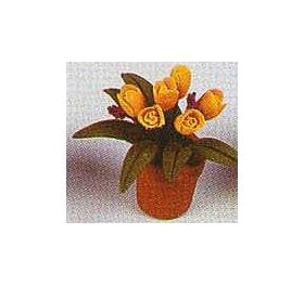 Orange and Pink Flowers (30Hmm)