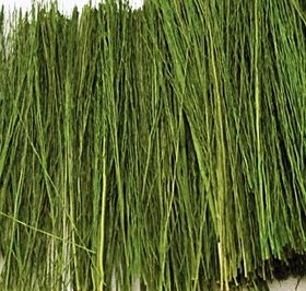 Light Green Field Grass (Bag 15g)