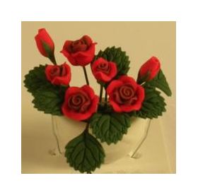 Red Roses in White Half Pot (30H)