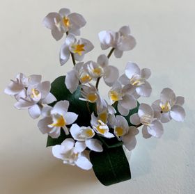 Potted Orchids by Kathy Brindle (15 Diam x 50Hmm)