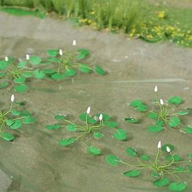 Water Lillies - 3/4" Width - 10Pk
