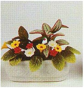 Box of 12 Flowers Variety in Tub (Tub: 45mmW)