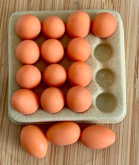 1:6 or Large 1:12 Scale Tray / Pallet of Eggs Brown (Tray:40 x 40mm, Egg:8 x 12mm)