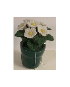 White Daisies in Small Green Pot (35H)