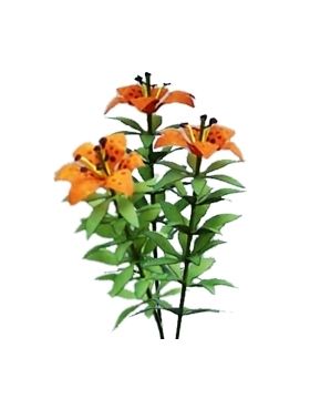 Flower Kit Lily Orange (6 Flowers)