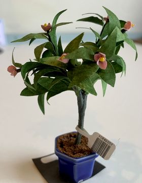 Frangipani in a Vase by Kathy Brindle (25 Diam x 80Hmm)