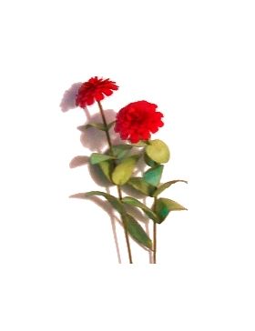 Flower Kit Zinnia Red (6 Flowers)