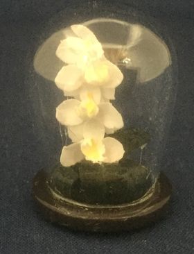 Flowers in Domes (24Diam x 34mmH)