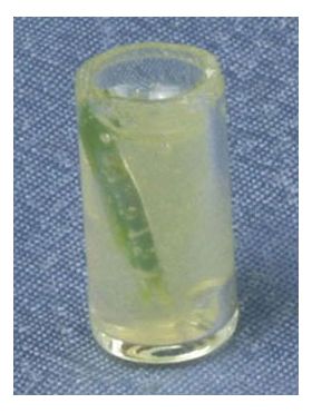 Glass of Lemonade with a Sprig of Mint (7 Diam x 10Hmm)