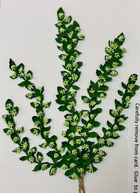 Vine by Kathy Brindle (130mmL)