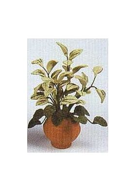 Box of 12 Flowers Green Foliage (70mmH)