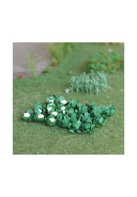 5/8"W Broccolis and Cauliflower 18 Pack