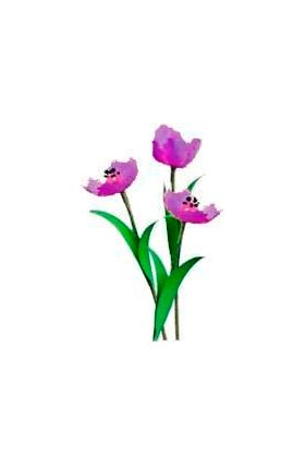 Flower Kit Tulips Purple (12 Flowers)