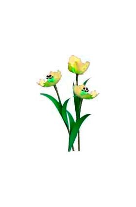 Flower Kit Tulips Yellow (12 Flowers)