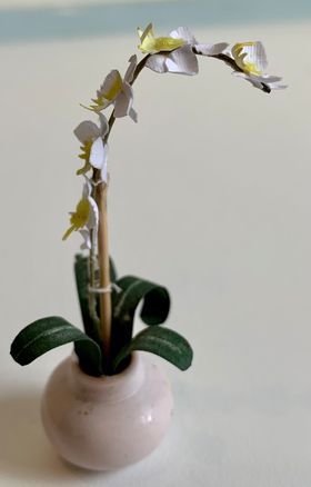 Potted Orchids by Kathy Brindle (22 Diam x 65Hmm)