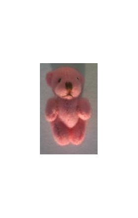Pink Bear (35mm)
