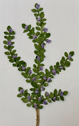 Vine by Kathy Brindle (120mmL)