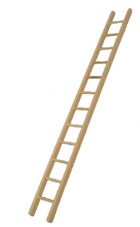 300mm Wooden Ladder (300 x 37 x 4mm)