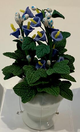 Box of 12 Flowers Blue Lilly (90mmH)