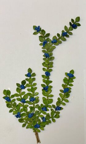 Vine by Kathy Brindle (120mmL)