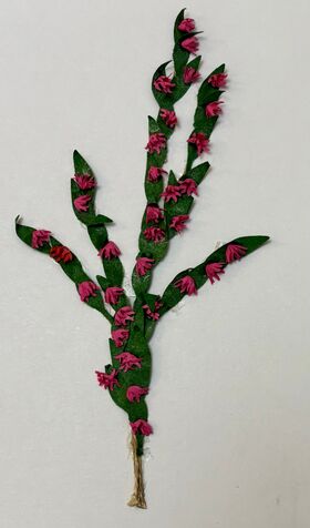 Vine by Kathy Brindle (110mmL)