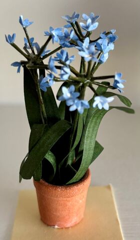 Pot with Flowers by Kathy Brindle (70Hmm)