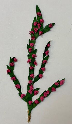 Vine by Kathy Brindle (110mmL)