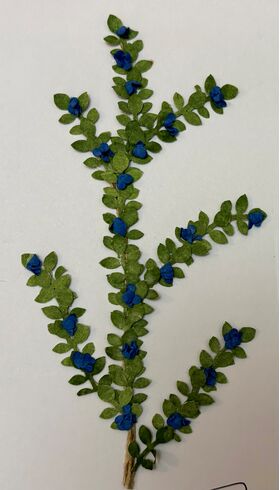 Vine by Kathy Brindle (130mmL)