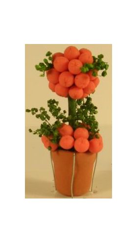 Topiary Tree Oranges (50Hmm)