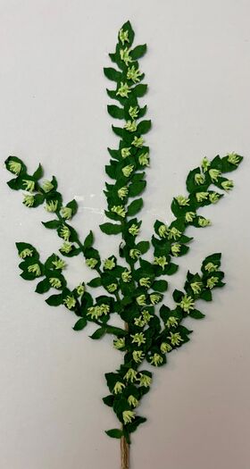 Vine by Kathy Brindle (150mmL)