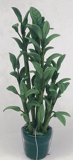 Tall Foliage in Green Pot (20Diam x 100Hmm)