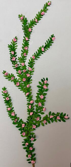 Vine by Kathy Brindle (170mmL)