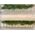 Grape Vines - HO Scale - 30mm Height
