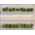 Potato Plants HO Scale - 1/42" Height - 18Pk