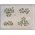 Water Lillies - N Scale - 3/4" Wide - 10Pk