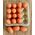 1:6 or Large 1:12 Scale Tray / Pallet of Eggs Brown (Tray:40 x 40mm, Egg:8 x 12mm)