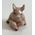 Baby Pig (22mmH) (Price Each Part of a Set of 5)