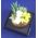 Garden Dish Flowers by Artistic Florals (30Diam x 40mmH)