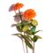 Flower Kit Zinnia Orange (6 Flowers)