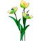 Flower Kit Tulips Yellow (12 Flowers)
