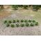 Potato Plants HO Scale - 1/42" Height - 18Pk