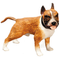 Standing Boxer Russet Brown (3" x 1" x 2")