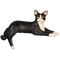 Cat Back Leg Down Black and White (33mm)