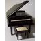 Black Grand Piano (115W x 130D x 90Hmm)