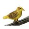 Norwich Fancy Canary (0.5"H x 0.75"W)