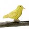 Norwich Fancy Canary (0.5"H x 0.75"W)