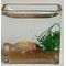 Rectangle Fish Tank (28 x 13 x 26Hmm)