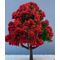 6cm Tree with Red Flowers