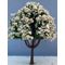 6cm Tree with White Flowers